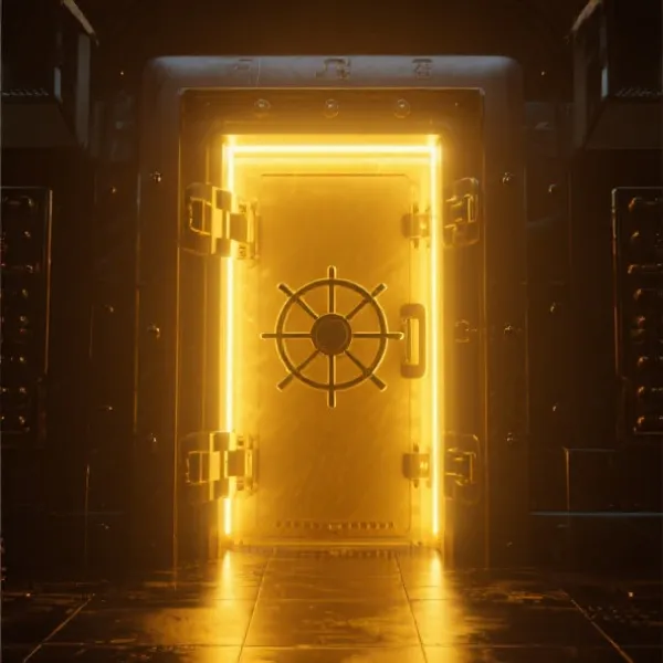 Security Vault